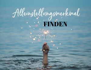 Alleinstellungsmerkmal finden